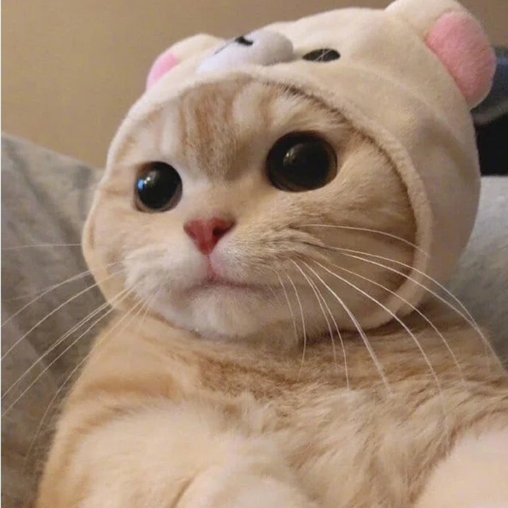 Meet your Posher, Courtney